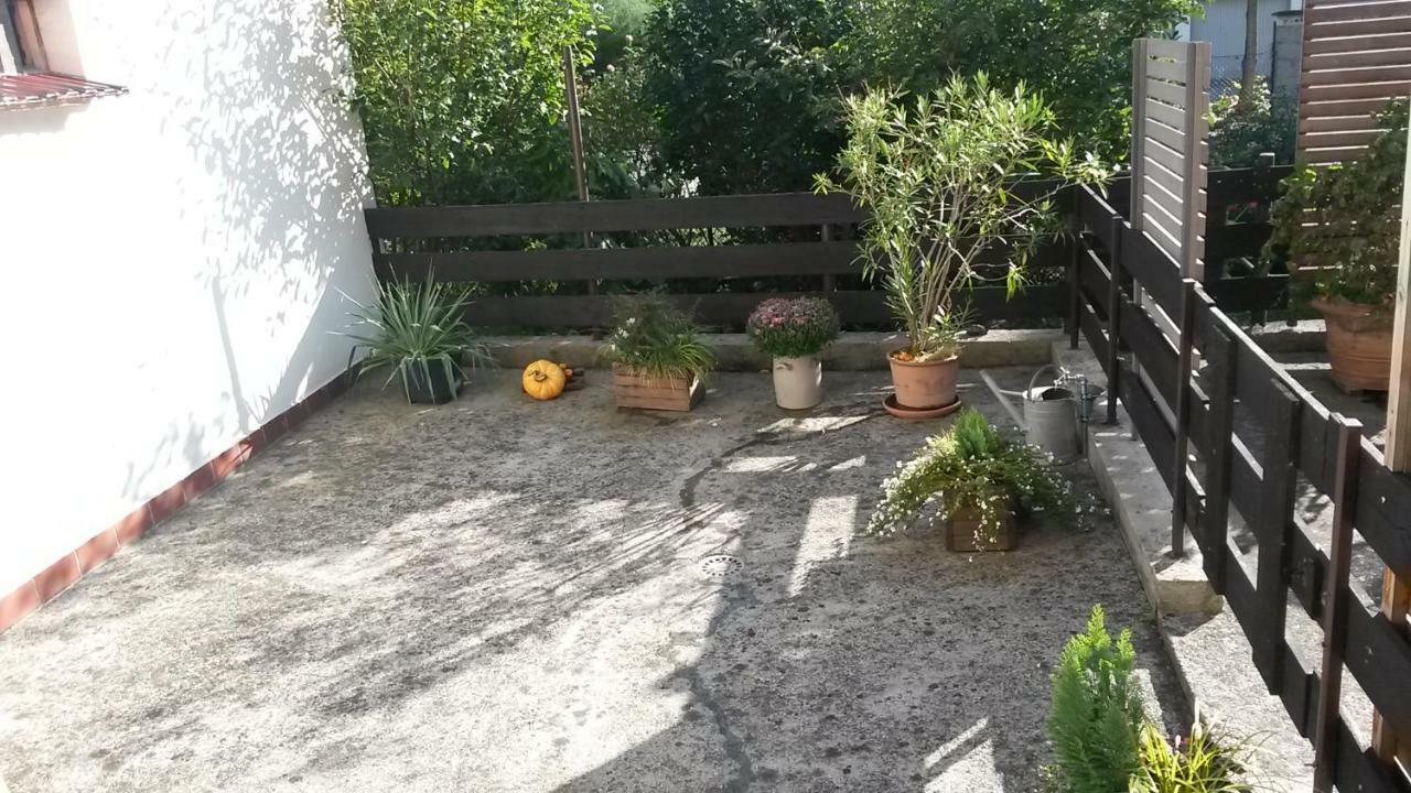 Eulennest-Lu Apartment Ludwigshafen am Rhein Bagian luar foto